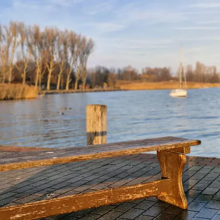 Colorful Life By Stn