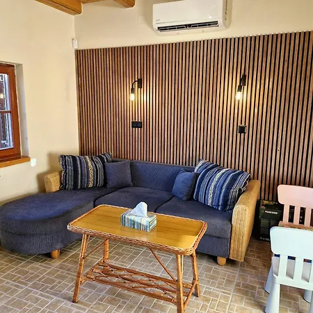 Colorful Life By Stn Balatonudvari