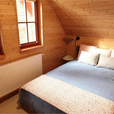 Colorful Life By Stn Balatonudvari