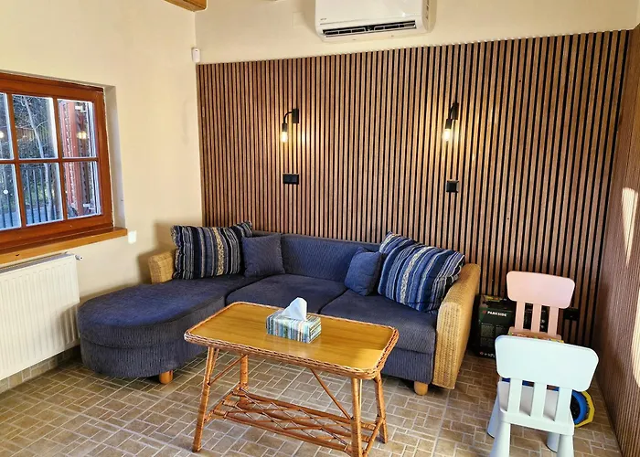 Colorful Life By Stn Balatonudvari