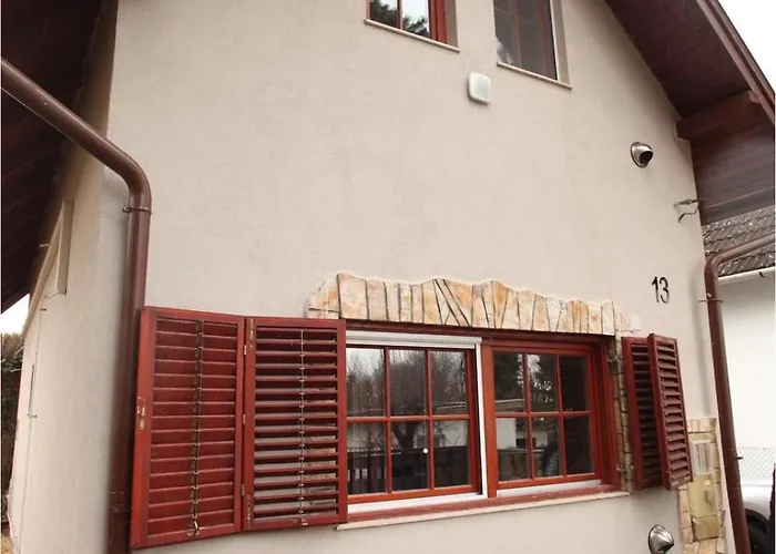 Colorful Life By Stn *